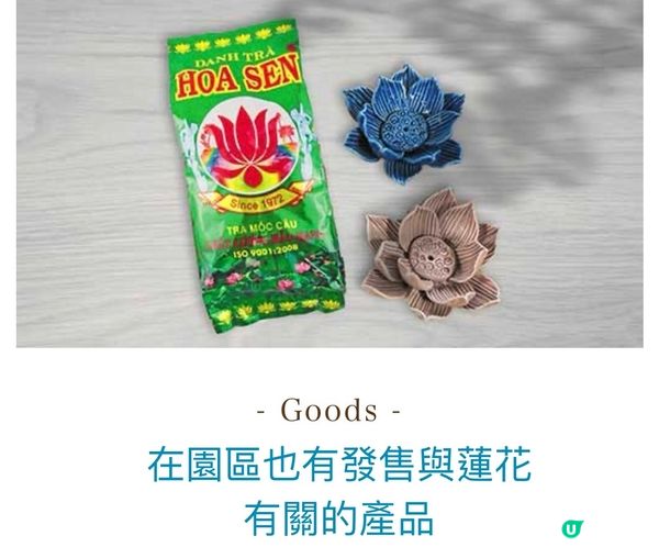 《沖繩東南植物樂園》蓮花祭2024🪷15/6-1/9