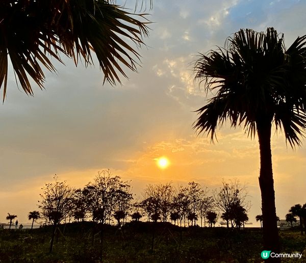 屯赤隧道日落好靚，好似去咗外國旅行咁