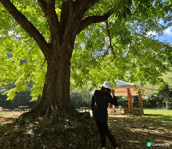 河背水塘&河背水塘教育徑。