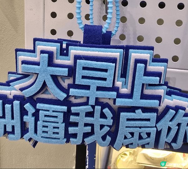 北京之旅故宮附近嘅大街小巷商店充滿特色,仲有好多我鍾意嘅磁石...