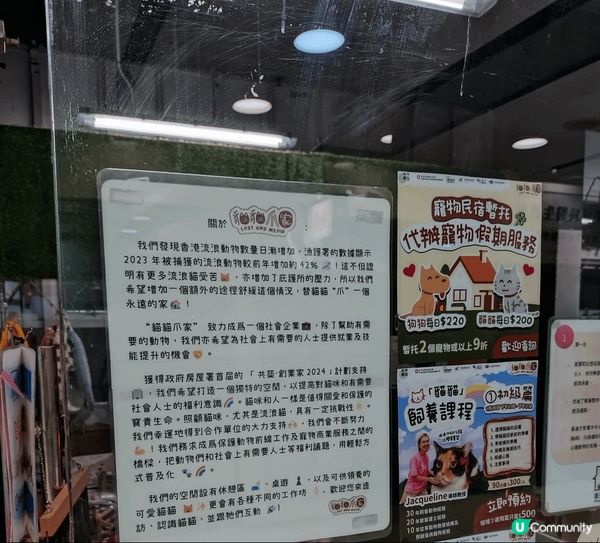 流浪貓體驗館🐱你去過嗎？