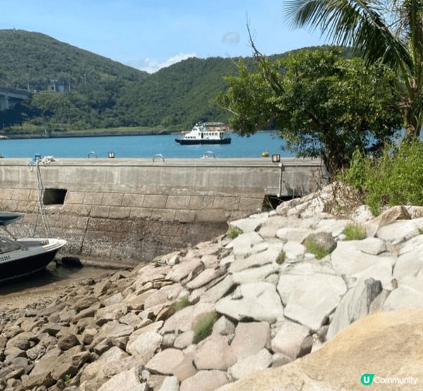 我會帶驅蚊大師去馬灣, 因為嗰度始終比較多樹木,會比較多蚊蟲...