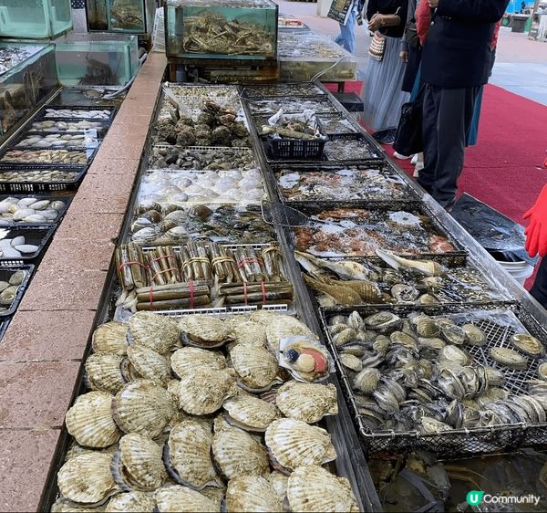 ✨絕對不能錯過的海鮮菜館✨