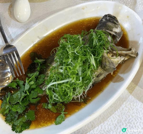 ✨絕對不能錯過的海鮮菜館✨