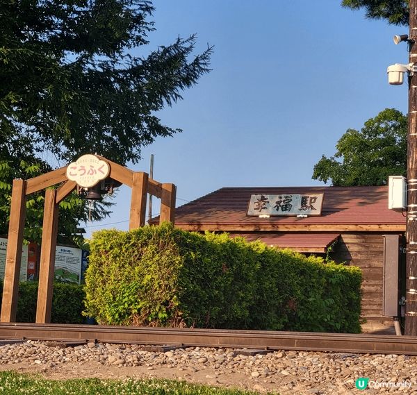 7月份北海道，美景，美食，花兒盛開，十分享受，十分幸福的自由...