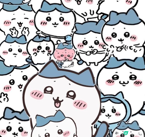 小八、兔兔??超可愛??，帶師傅去不同地方打卡，沙田公園，觀...