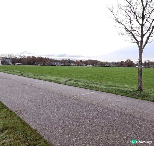 🇬🇧 荷蘭比利時英國聖誕遊記 🎄