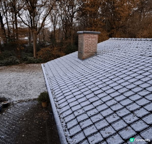 🇬🇧 荷蘭比利時英國聖誕遊記 🎄