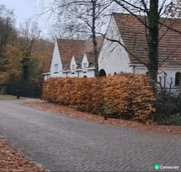 🇬🇧 荷蘭比利時英國聖誕遊記 🎄