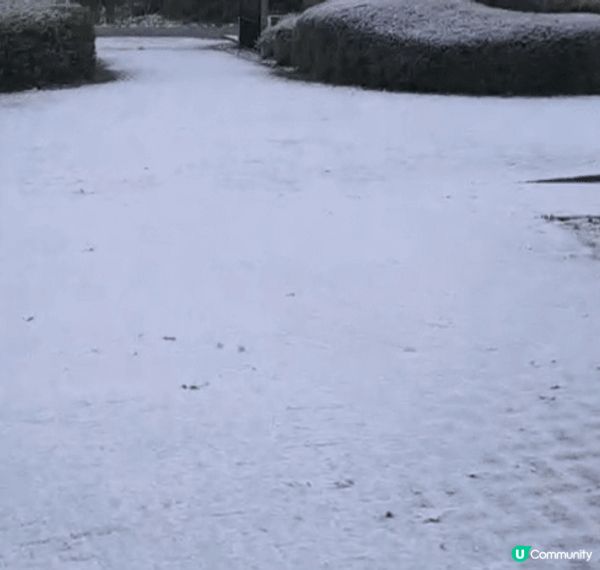 🇬🇧 荷蘭比利時英國聖誕遊記 🎄