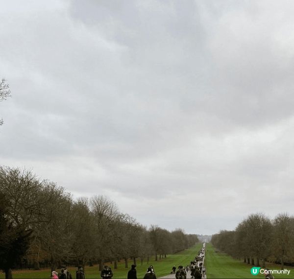 🇬🇧 荷蘭比利時英國聖誕遊記 🎄