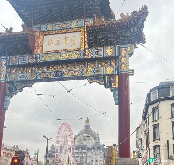 🇬🇧 荷蘭比利時英國聖誕遊記 🎄