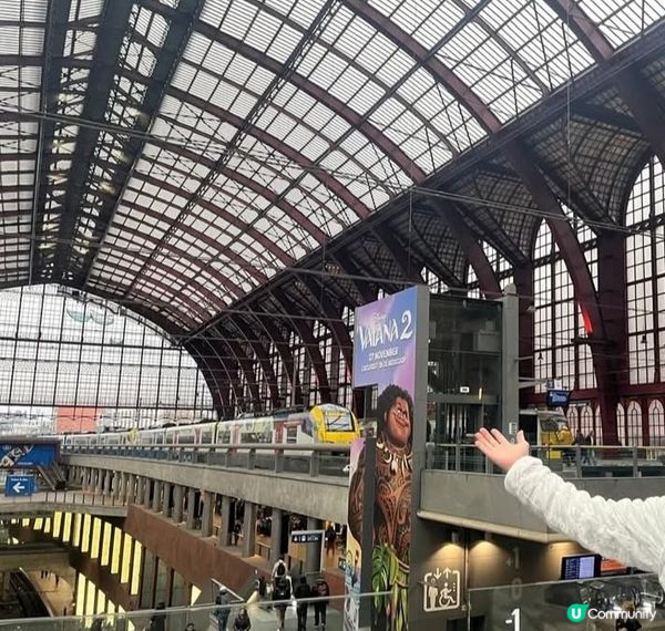 🇬🇧 荷蘭比利時英國聖誕遊記 🎄