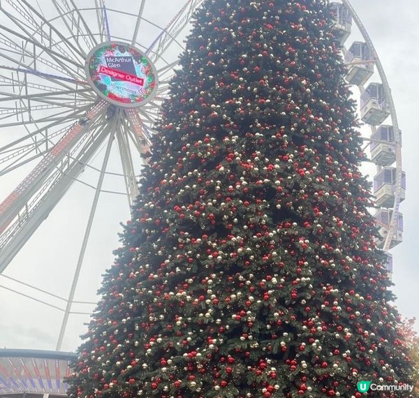 🇬🇧 荷蘭比利時英國聖誕遊記 🎄
