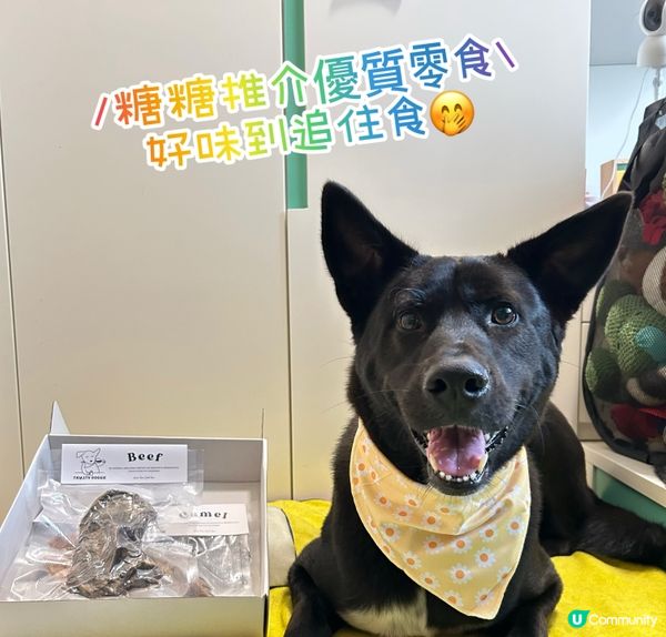 糖糖開箱優質零食💖