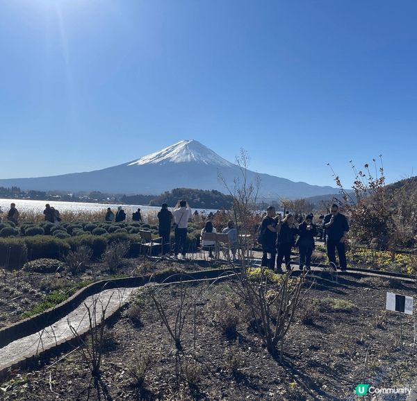 富士山真係美如畫般，無論邊一個角度影到咁靚，好彩當日天氣非常...