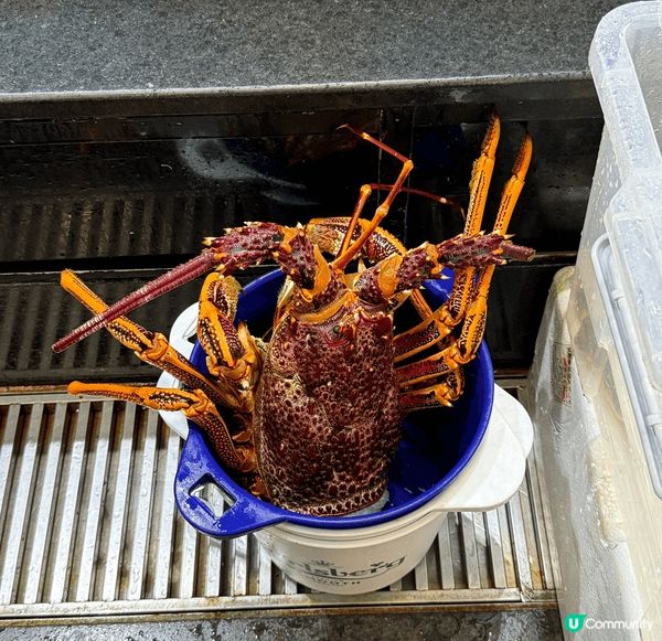 在土瓜灣利東軒酒樓，澳洲龍蝦非常新鮮美味，一蝦有兩食，我最欣...