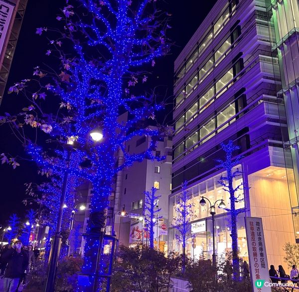 東京青之洞窟，現場非常震撼，從未見過咁靚嘅景點，因為全部樹都...