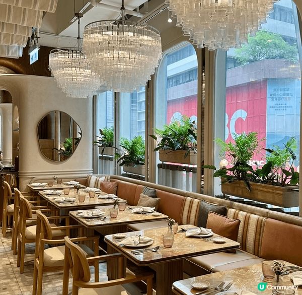 中環 gelato Liz&Tori;