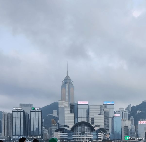 金像獎前夕的星光大道🏙️