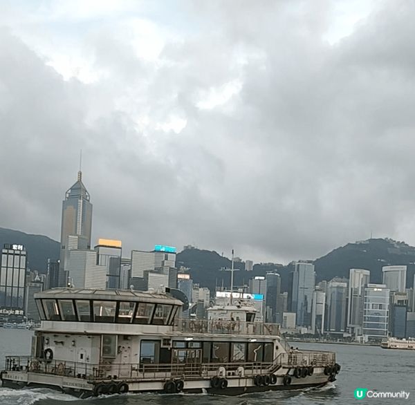 金像獎前夕的星光大道🏙️