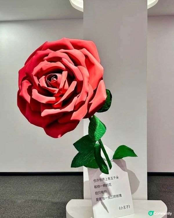 欣賞小王子展覽