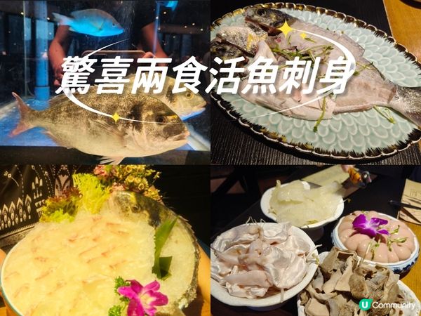 荃灣火鍋新寵🔥 大紅袍活魚刺身驚艷🤩