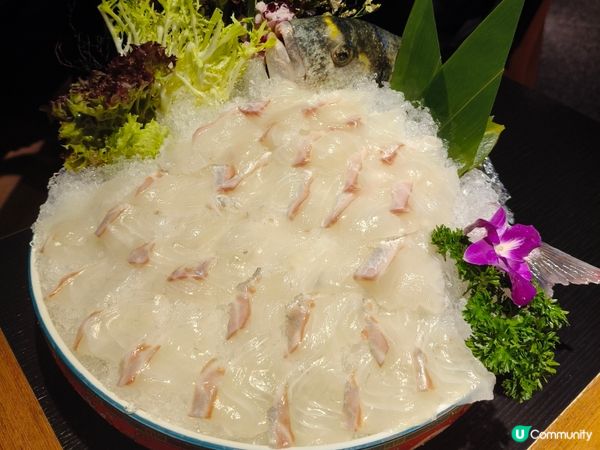 荃灣火鍋新寵🔥 大紅袍活魚刺身驚艷🤩