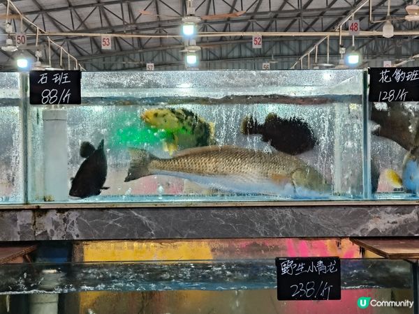 五一沙扒灣夜遊記：煙花、海鮮與夜未眠🌙