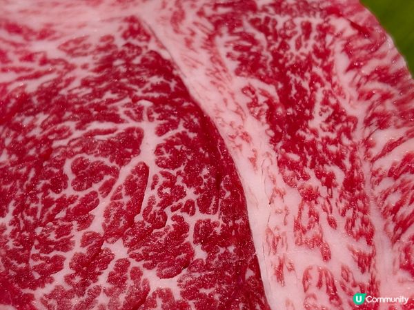 旺角速食🔥 牛魔一人燒肉 🎤 唱K前必備！