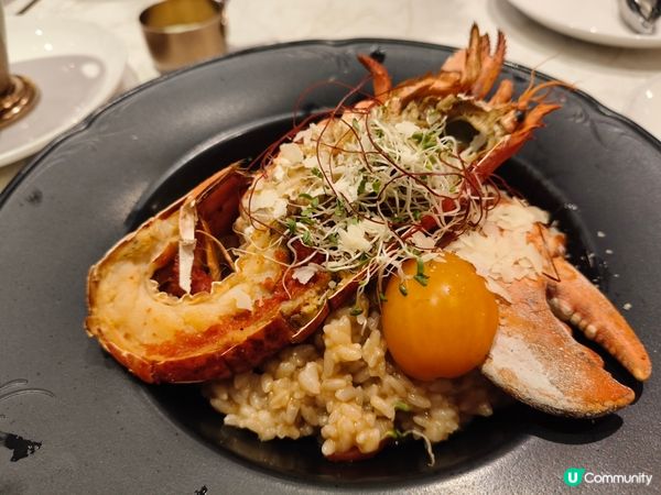 【佐敦意大利🇮🇹！龍蝦飯🦞+牛扒🥩超正！】