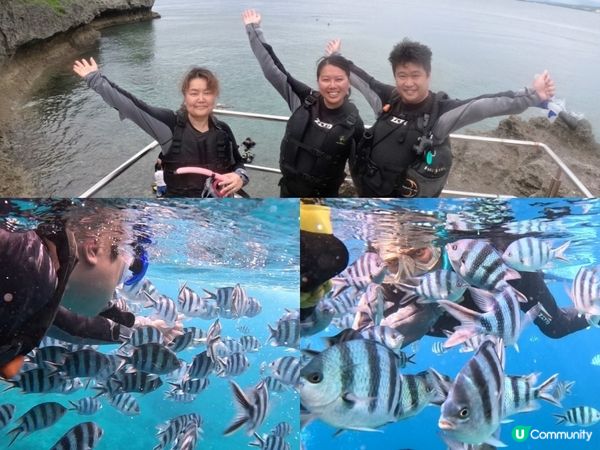 沖繩潛水記！青之洞窟🌊🐠 2025約定！