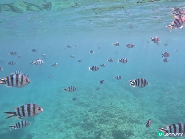 沖繩潛水記！青之洞窟🌊🐠 2025約定！