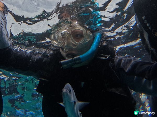 沖繩潛水記！青之洞窟🌊🐠 2025約定！