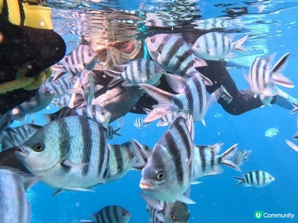 沖繩潛水記！青之洞窟🌊🐠 2025約定！