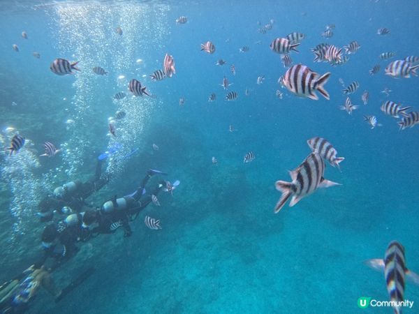 沖繩潛水記！青之洞窟🌊🐠 2025約定！