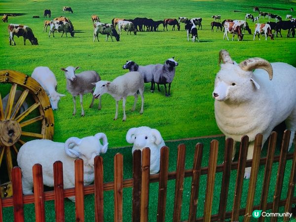 蒙古美食之旅！草原風味😋