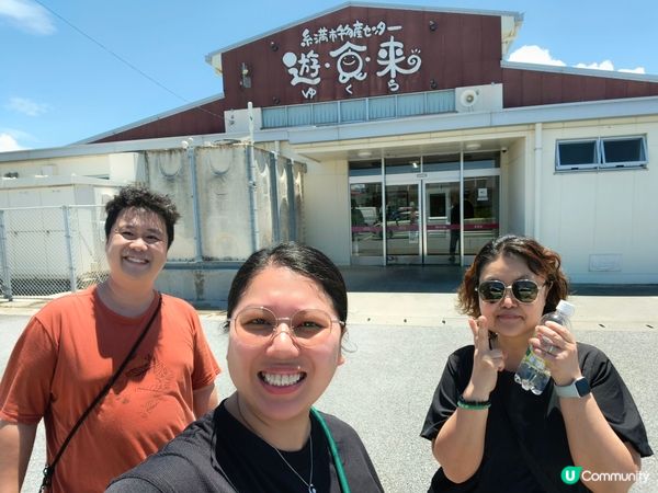 糸滿漁市場海鮮大比拼！🤤 拖羅海膽超正！