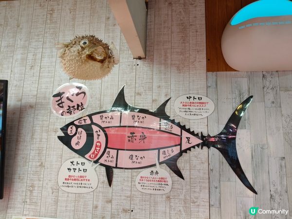 糸滿漁市場海鮮大比拼！🤤 拖羅海膽超正！