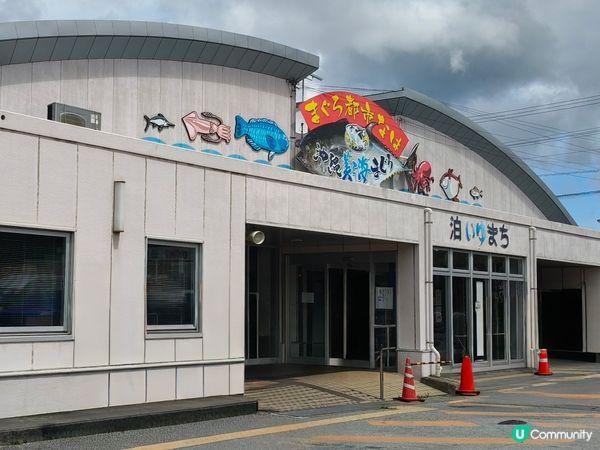 【沖繩泊港漁市場！海鮮控必去🤤】