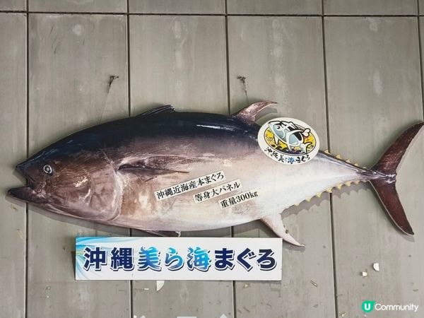 【沖繩泊港漁市場！海鮮控必去🤤】