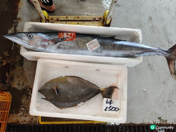 【沖繩泊港漁市場！海鮮控必去🤤】