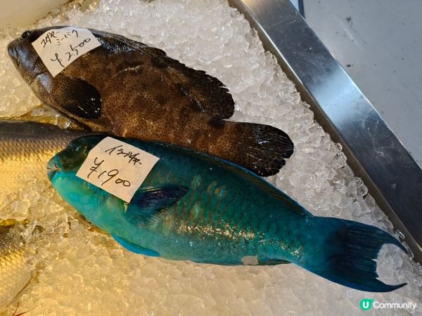 【沖繩泊港漁市場！海鮮控必去🤤】