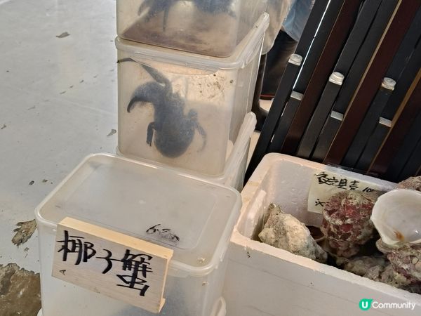 【沖繩泊港漁市場！海鮮控必去🤤】