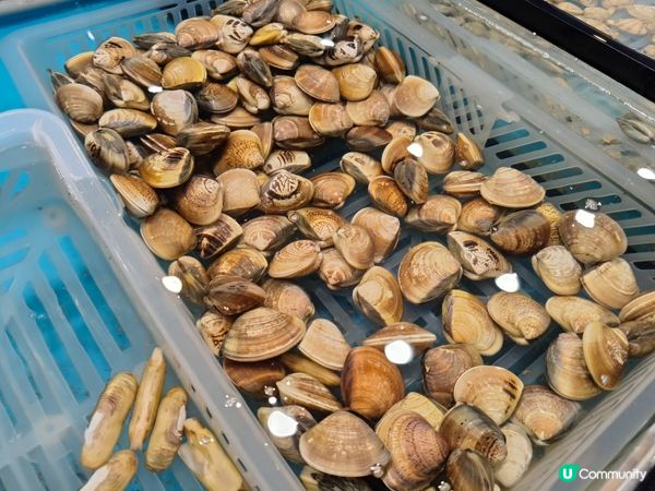 港島海鮮控衝呀！西城水產放題🤤鮑魚任食！