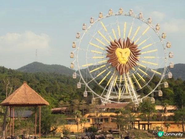 玩轉清遠長隆🥳攻略全拆解