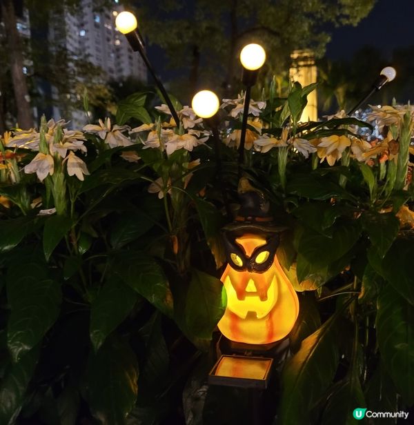 仙人掌 x CAMP Park