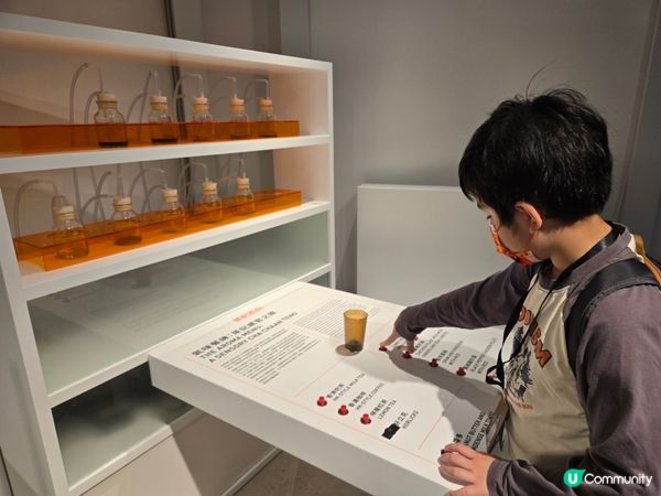 茶記設計展：會員積分換飛！ 🤩