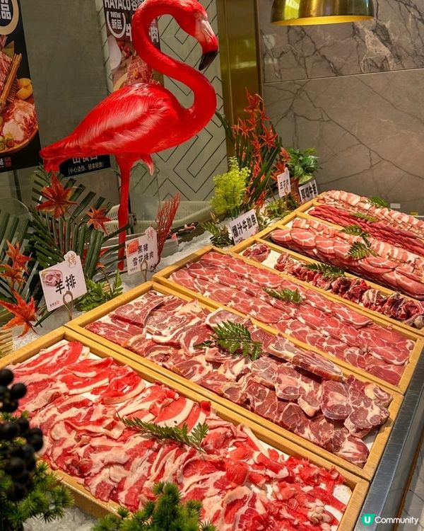 ✨️ 漢陽廷任食韓燒 😋✨️