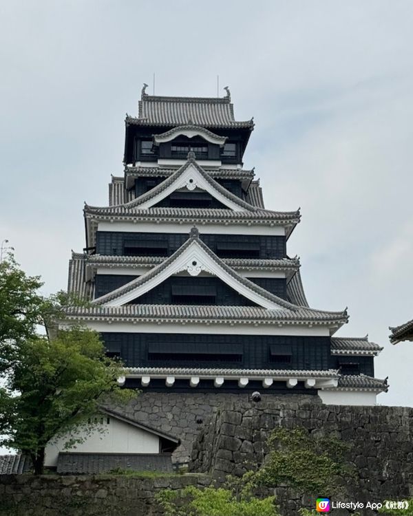 熊本城修復中